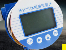 熱式氣體質(zhì)量流量計